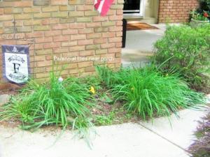 6972 Wethersfield Pl, Worthington, OH 43085 photo 39
