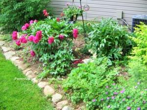 6972 Wethersfield Pl, Worthington, OH 43085 photo 37