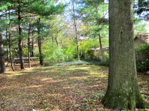 6972 Wethersfield Pl, Worthington, OH 43085 photo 5