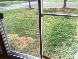 5166 Singleton Dr #43A, Hilliard, OH 43026 photo 6