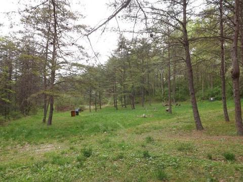 9652 Webb Rd, Logan, OH 43138 photo 4