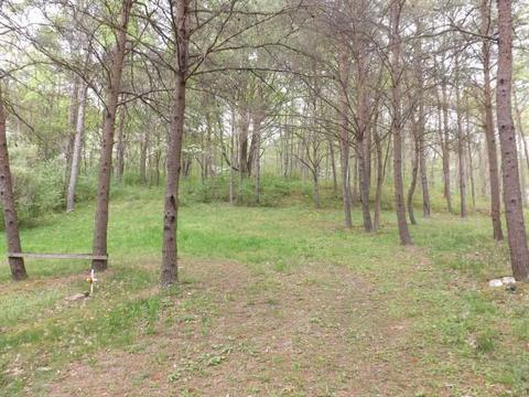 9652 Webb Rd, Logan, OH 43138 photo 11