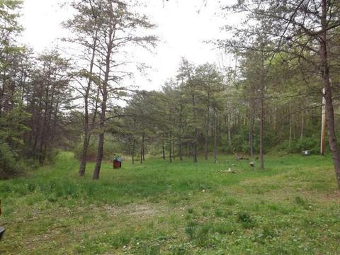 9652 Webb Rd, Logan, OH 43138 photo 12