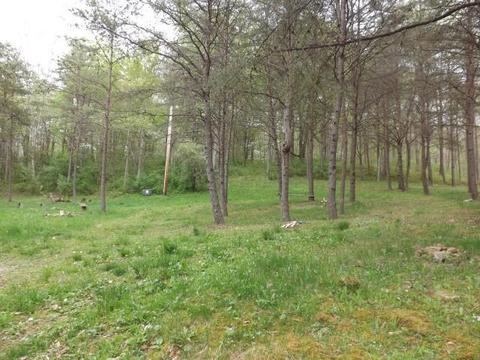 9652 Webb Rd, Logan, OH 43138 photo 13