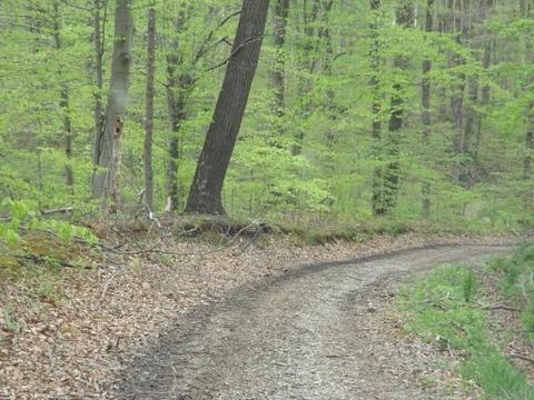 9652 Webb Rd, Logan, OH 43138 photo 14