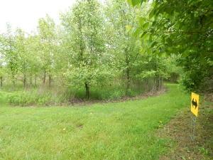7175 Moore Rd, Delaware, OH 43015 photo 4