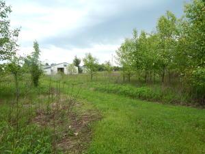 7175 Moore Rd, Delaware, OH 43015 photo 18