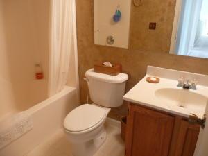 620 Exeter Dr, Delaware, OH 43015 photo 47