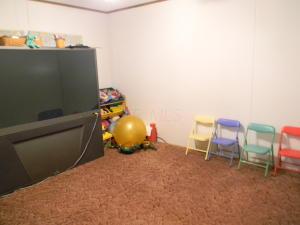9415 State Route 56 E, Circleville, OH 43113 photo 10