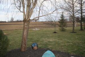 5259 Timberlake Cir, Orient, OH 43146 photo 35