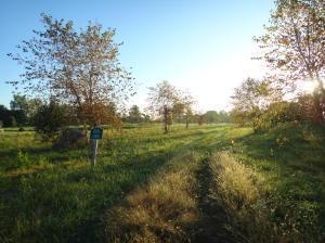 6697 Steitz Rd, Powell, OH 43065 photo 1