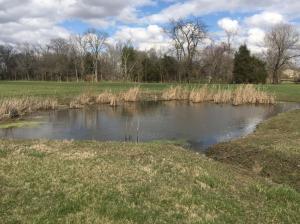 9110 Boyd Rd, Orient, OH 43146 photo 12