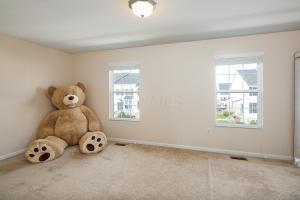 320 Pristine Path, Blacklick, OH 43004 photo 11