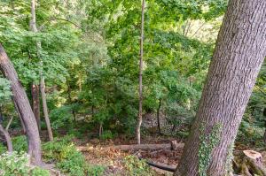 332 Cliffside Dr, Columbus, OH 43202 photo 3