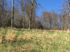 9040 Walnut Dowler Rd, Logan, OH 43138 photo 37