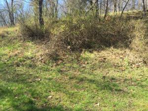9040 Walnut Dowler Rd, Logan, OH 43138 photo 33