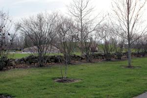 6313 Corley Dr, Dublin, OH 43016 photo 3