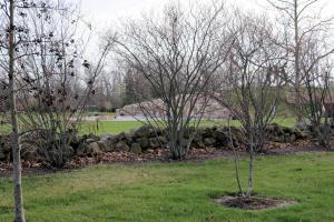 6313 Corley Dr, Dublin, OH 43016 photo 29