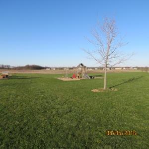 18654 Commercial Point Rd, Circleville, OH 43113 photo 9