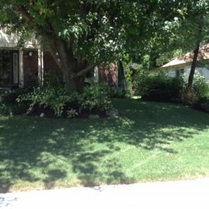 5322 Roscommon Rd, Dublin, OH 43017 photo 67