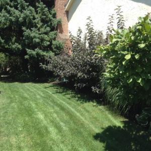 5322 Roscommon Rd, Dublin, OH 43017 photo 66