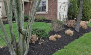 5322 Roscommon Rd, Dublin, OH 43017 photo 56
