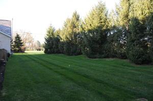 6199 Turvey Loop W, Dublin, OH 43016 photo 28