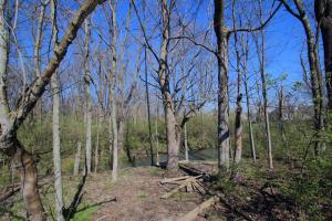 6406 Monaghan Dr, Dublin, OH 43016 photo 29