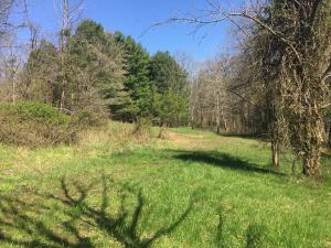 11162 Walnut Dowler Rd, Logan, OH 43138 photo 37
