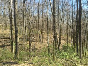 11162 Walnut Dowler Rd, Logan, OH 43138 photo 39