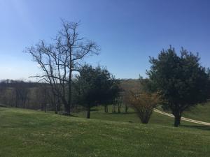11162 Walnut Dowler Rd, Logan, OH 43138 photo 52