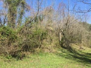 11162 Walnut Dowler Rd, Logan, OH 43138 photo 35