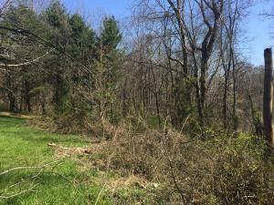 11162 Walnut Dowler Rd, Logan, OH 43138 photo 36
