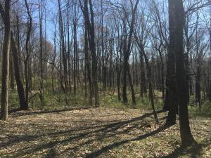11162 Walnut Dowler Rd, Logan, OH 43138 photo 45