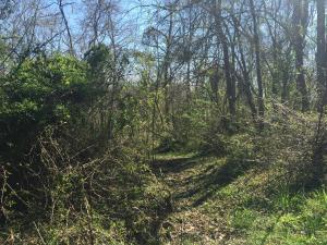 11162 Walnut Dowler Rd, Logan, OH 43138 photo 33