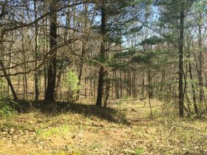11162 Walnut Dowler Rd, Logan, OH 43138 photo 38