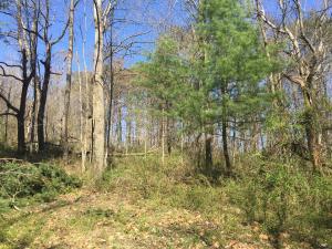 11162 Walnut Dowler Rd, Logan, OH 43138 photo 47