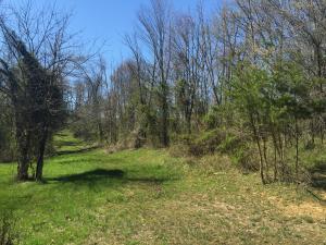 11162 Walnut Dowler Rd, Logan, OH 43138 photo 43