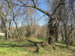 11162 Walnut Dowler Rd, Logan, OH 43138 photo 27