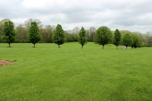 11189 Thrailkill Rd, Orient, OH 43146 photo 5