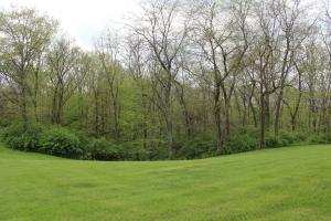 11189 Thrailkill Rd, Orient, OH 43146 photo 47