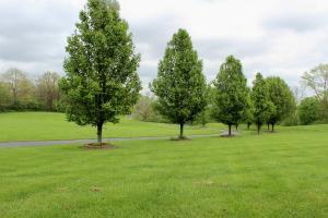 11189 Thrailkill Rd, Orient, OH 43146 photo 50