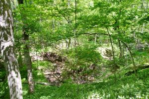 6800 Harriott Rd, Powell, OH 43065 photo 24