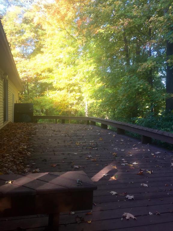 120 W North St, Lithopolis, OH 43136 photo 23