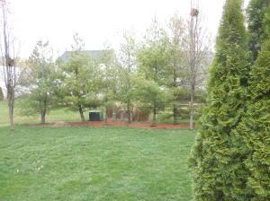 6048 Anna Loop, Dublin, OH 43016 photo 5