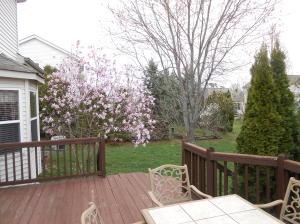 6048 Anna Loop, Dublin, OH 43016 photo 4