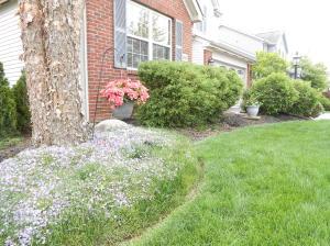 6048 Anna Loop, Dublin, OH 43016 photo 25