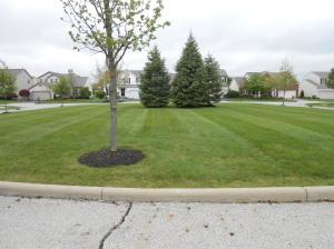 6048 Anna Loop, Dublin, OH 43016 photo 26