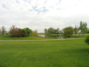 6748 Ballantrae Pl, Dublin, OH 43016 photo 53