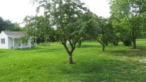 634 Swackhammer Rd, Circleville, OH 43113 photo 14